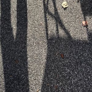 Meet your Posher, Cameron